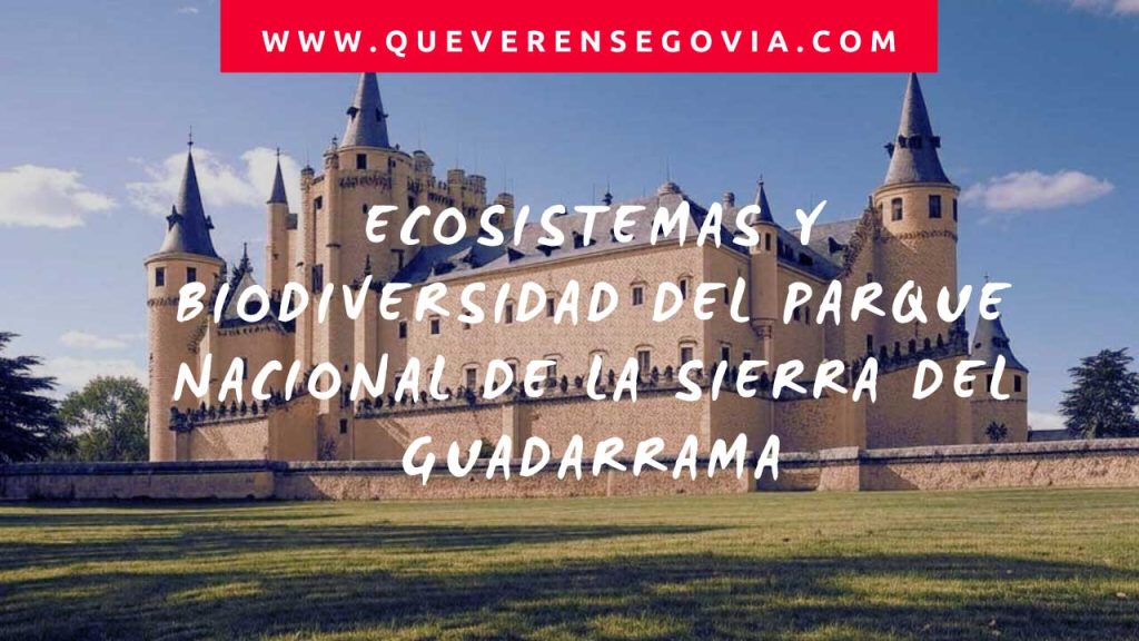 Ecosistemas y Biodiversidad del Parque Nacional de la Sierra del Guadarrama